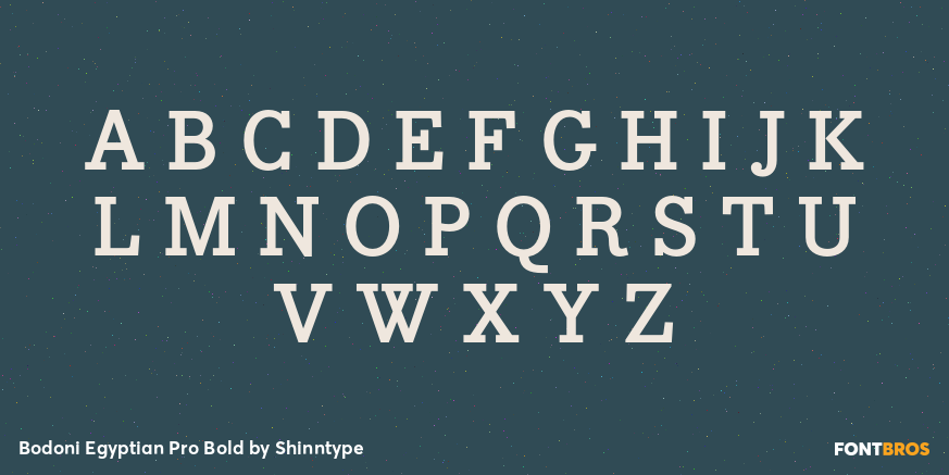 Bodoni Egyptian Pro Bold Font Poster #2