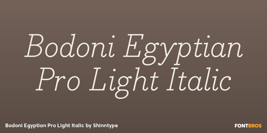 Bodoni Egyptian Pro Light Italic Font Poster #1