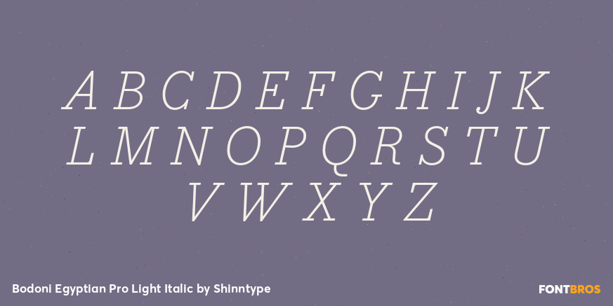 Bodoni Egyptian Pro Light Italic Font Poster #2