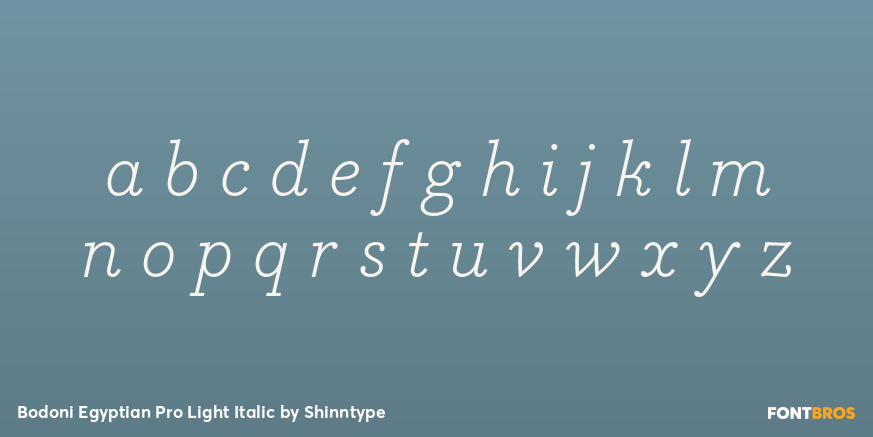 Bodoni Egyptian Pro Light Italic Font Poster #3