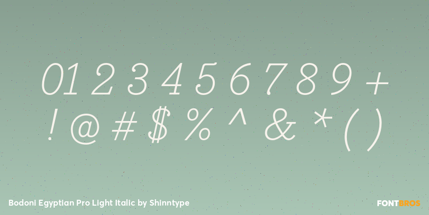 Bodoni Egyptian Pro Light Italic Font Poster #4