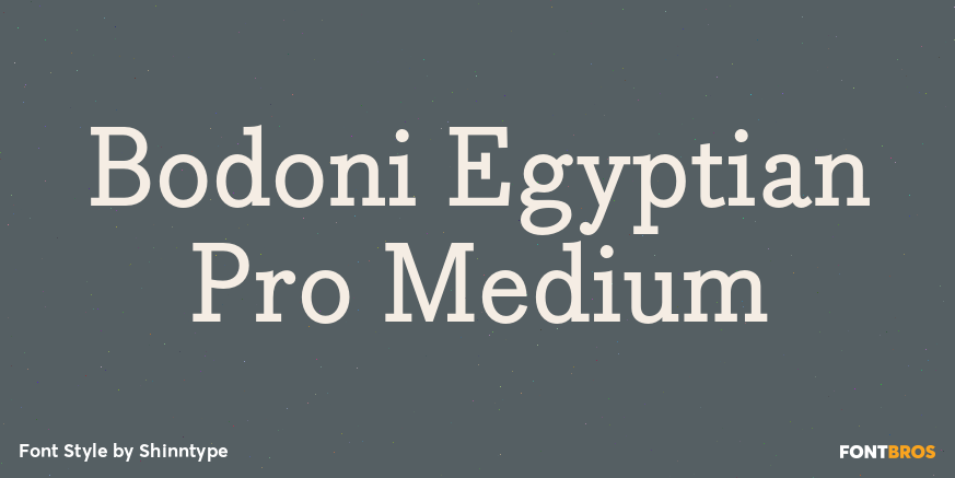 Bodoni Egyptian Pro Medium Font Poster #1