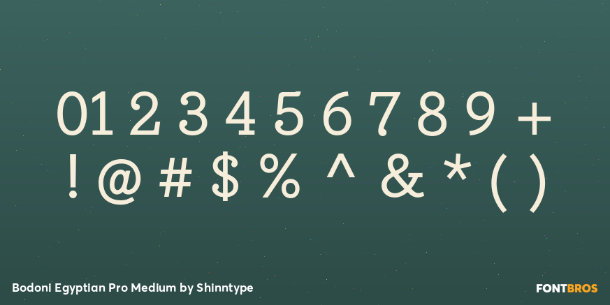 Bodoni Egyptian Pro Medium Font Poster #1