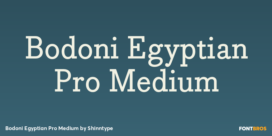 Bodoni Egyptian Pro Medium Font Poster #1