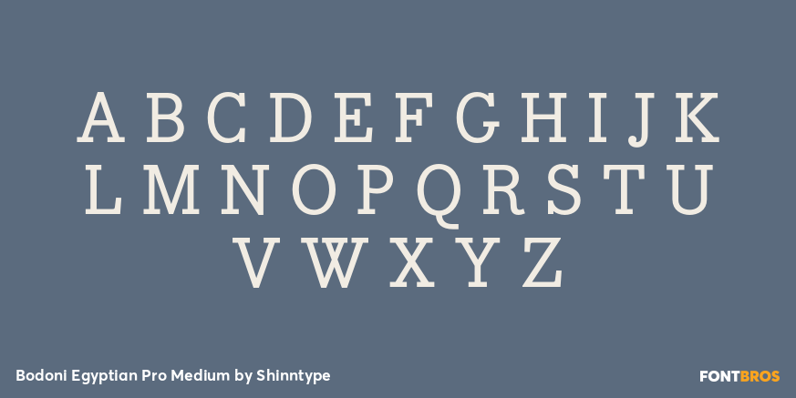 Bodoni Egyptian Pro Medium Font Poster #2