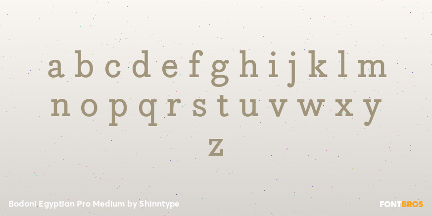 Bodoni Egyptian Pro Medium Font Poster #3
