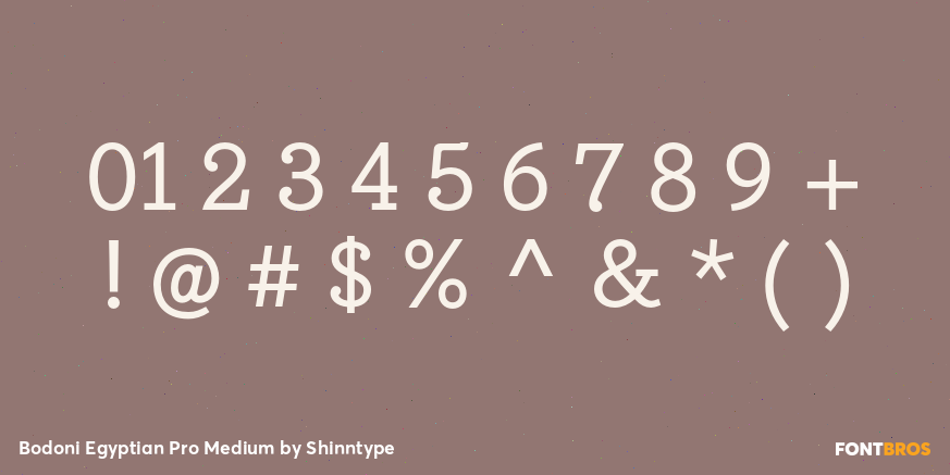Bodoni Egyptian Pro Medium Font Poster #4