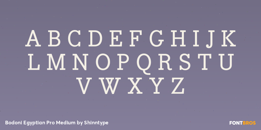Bodoni Egyptian Pro Medium Font Poster #1