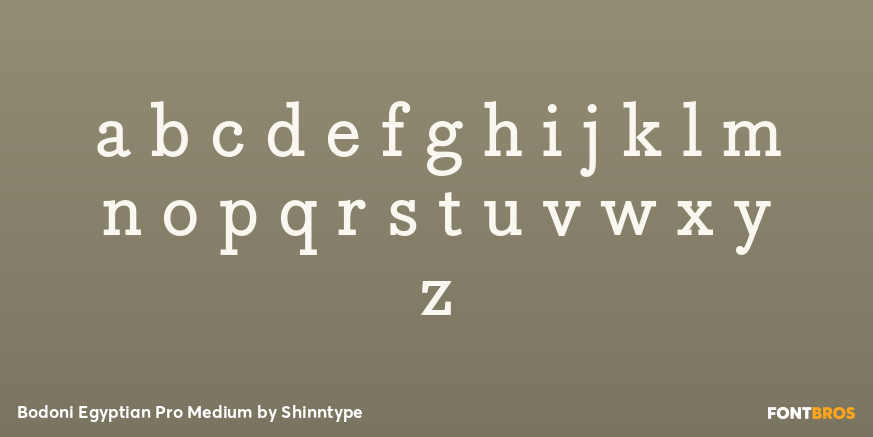 Bodoni Egyptian Pro Medium Font Poster #1