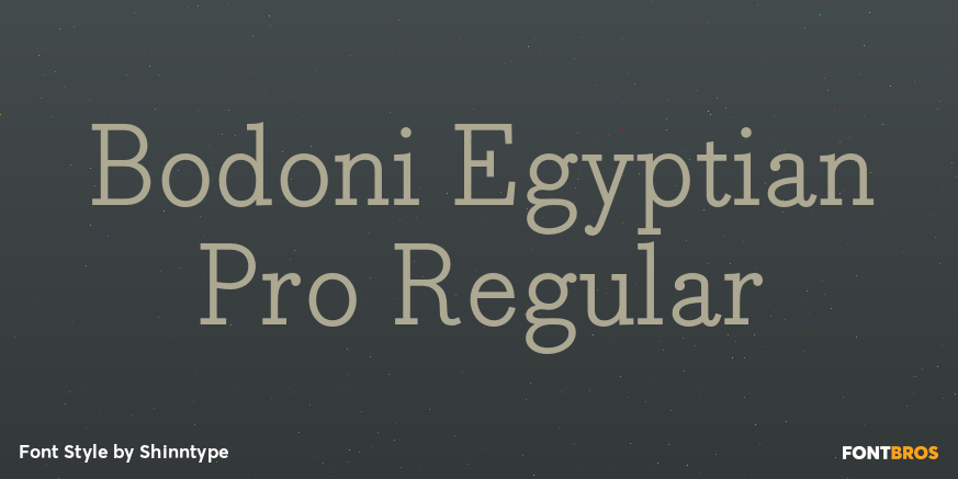 Bodoni Egyptian Pro Regular Poster