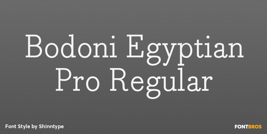 Bodoni Egyptian Pro Regular Poster