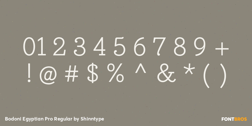 Bodoni Egyptian Pro Regular Font Poster #1