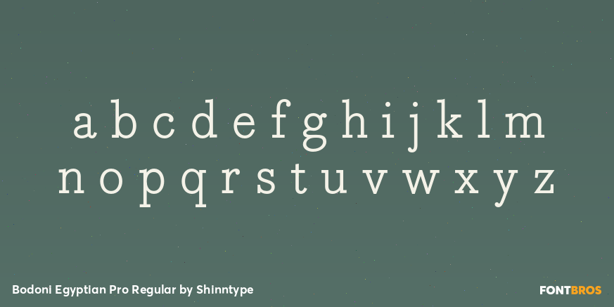 Bodoni Egyptian Pro Regular Font Poster #3