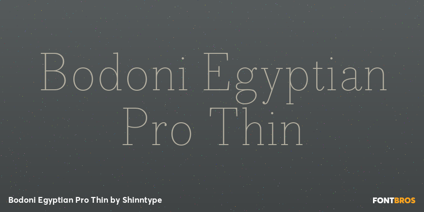 Bodoni Egyptian Pro Thin Font Poster #1