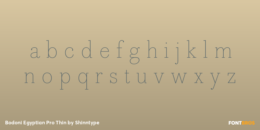Bodoni Egyptian Pro Thin Font Poster #3
