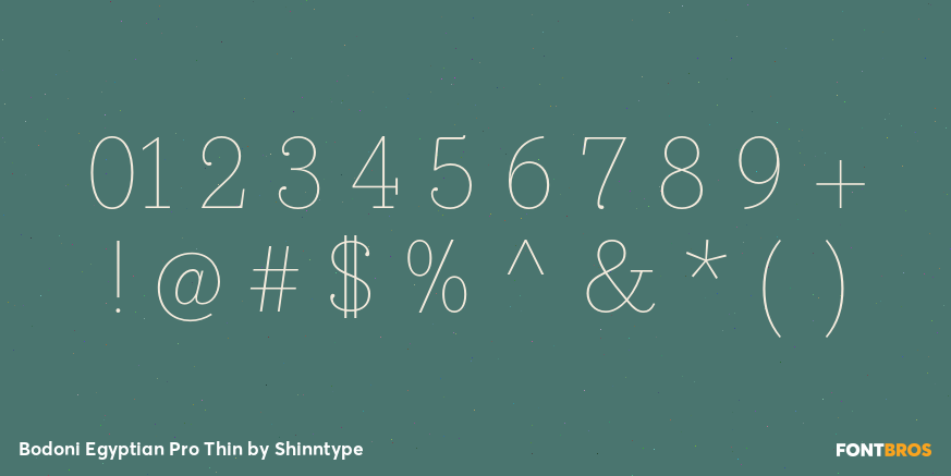 Bodoni Egyptian Pro Thin Font Poster #4