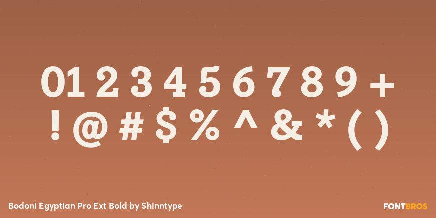 Bodoni Egyptian Pro Ext Bold Font Poster #1