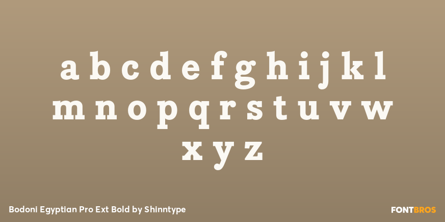 Bodoni Egyptian Pro Ext Bold Font Poster #3