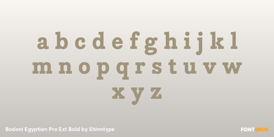Bodoni Egyptian Pro Ext Bold Font Poster #1