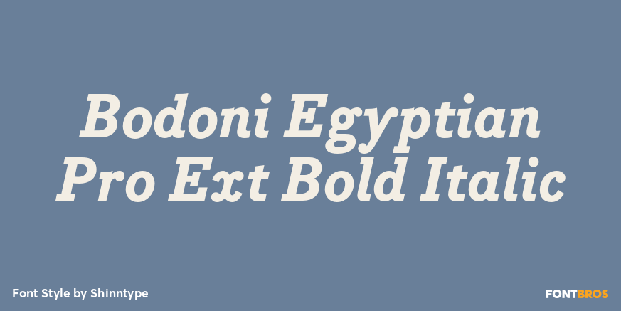 Bodoni Egyptian Pro Ext Bold Italic Font Poster #1