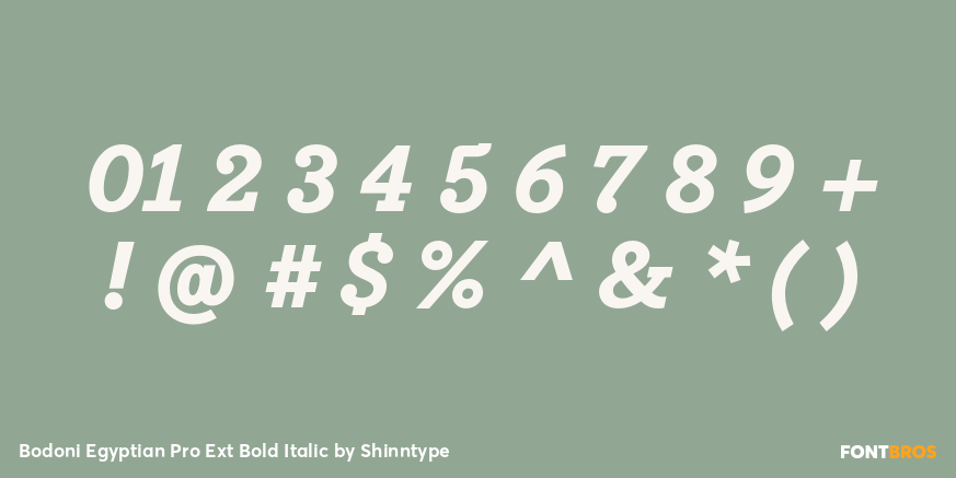 Bodoni Egyptian Pro Ext Bold Italic Font Poster #1