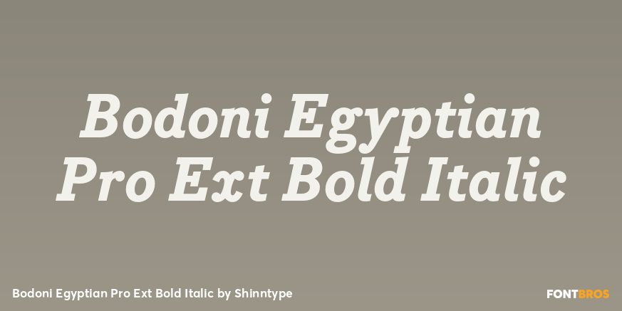 Bodoni Egyptian Pro Ext Bold Italic Font Poster #1