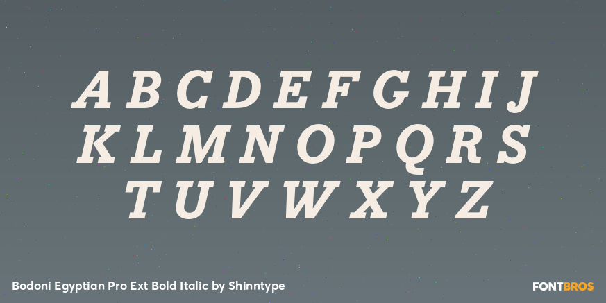 Bodoni Egyptian Pro Ext Bold Italic Font Poster #2