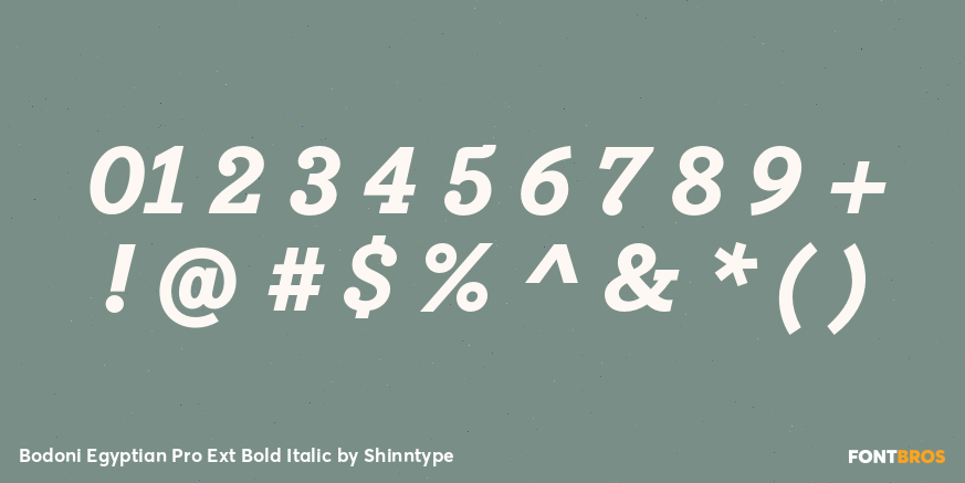 Bodoni Egyptian Pro Ext Bold Italic Font Poster #4