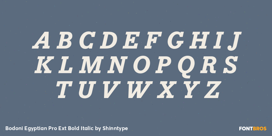 Bodoni Egyptian Pro Ext Bold Italic Font Poster #1