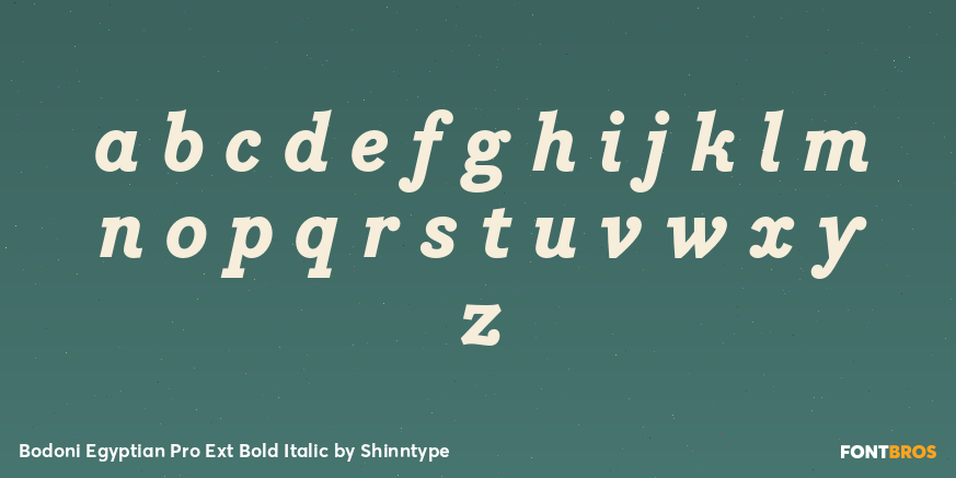 Bodoni Egyptian Pro Ext Bold Italic Font Poster #1