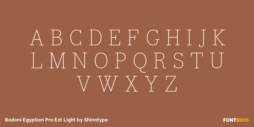 Bodoni Egyptian Pro Ext Light Font Poster #2