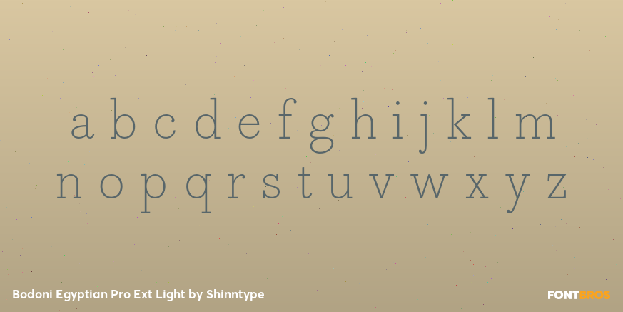 Bodoni Egyptian Pro Ext Light Font Poster #3