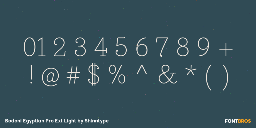 Bodoni Egyptian Pro Ext Light Font Poster #4