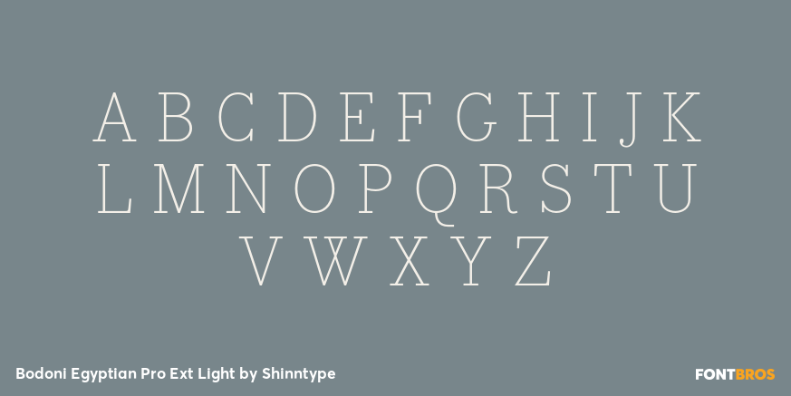 Bodoni Egyptian Pro Ext Light Font Poster #1