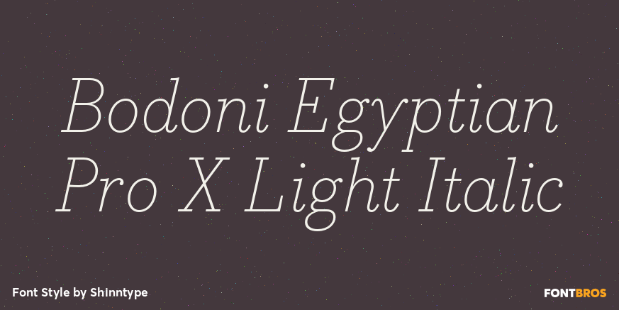 Bodoni Egyptian Pro X Light Italic Font Poster #1
