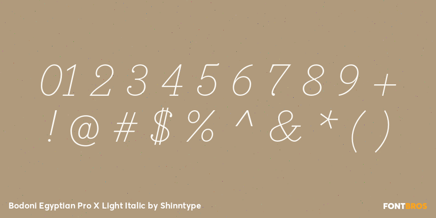 Bodoni Egyptian Pro X Light Italic Font Poster #1