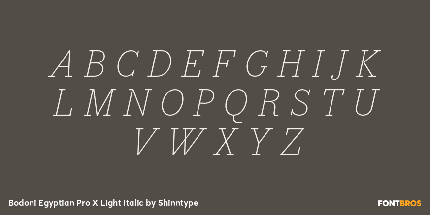 Bodoni Egyptian Pro X Light Italic Font Poster #1