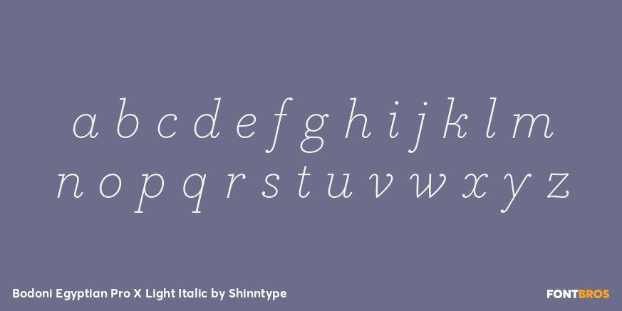 Bodoni Egyptian Pro X Light Italic Font Poster #1