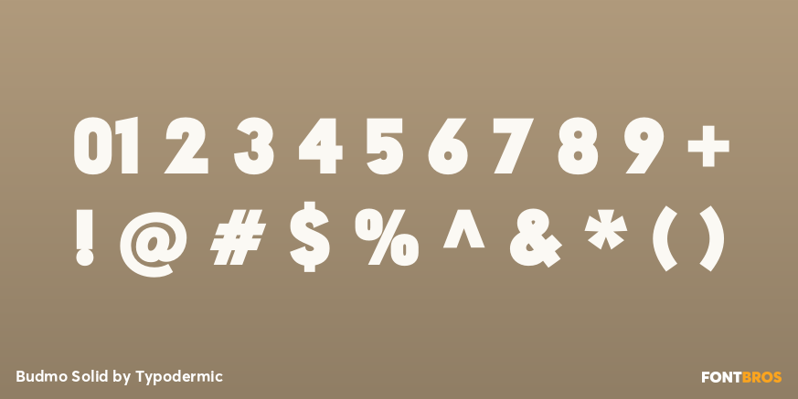 Budmo Solid Font Poster #1