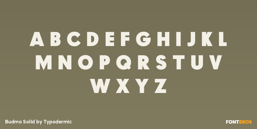 Budmo Solid Font Poster #1