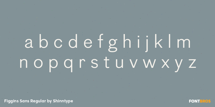Figgins Sans Regular Font Poster #3