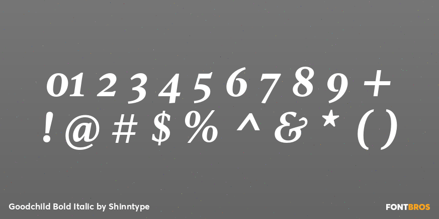 Goodchild Bold Italic Font Poster #4