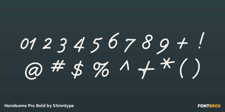 Handsome Pro Bold Font Poster #4