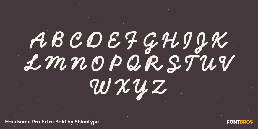 Handsome Pro Extra Bold Font Poster #2