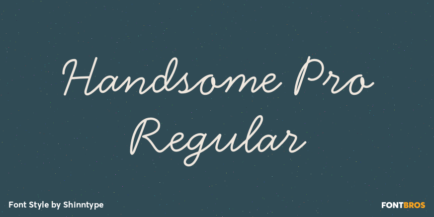 Handsome Pro Regular Poster