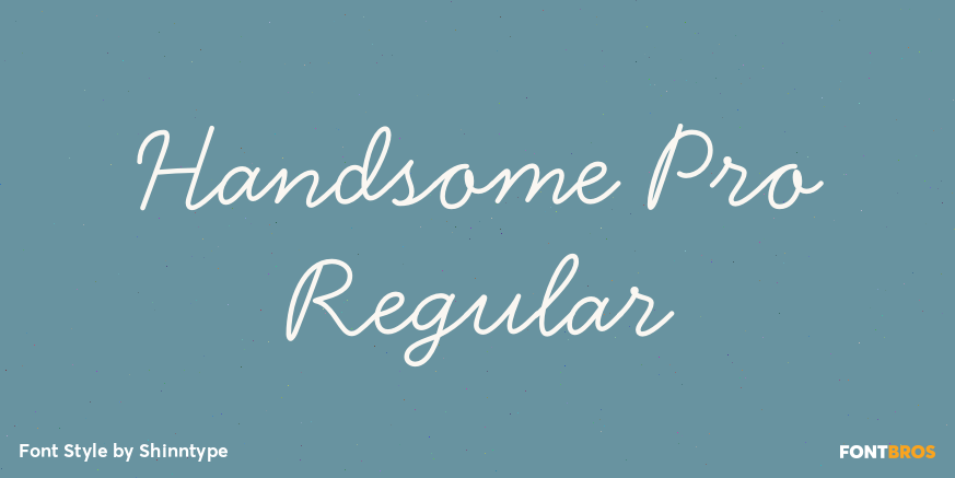 Handsome Pro Regular Poster