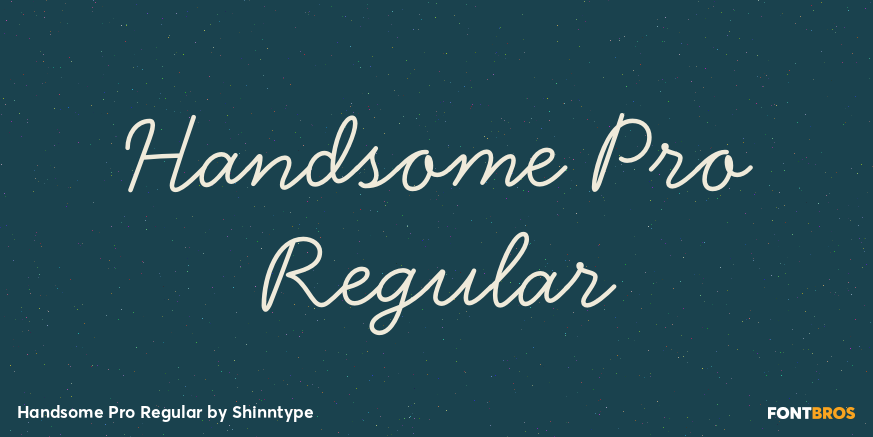 Handsome Pro Regular Poster