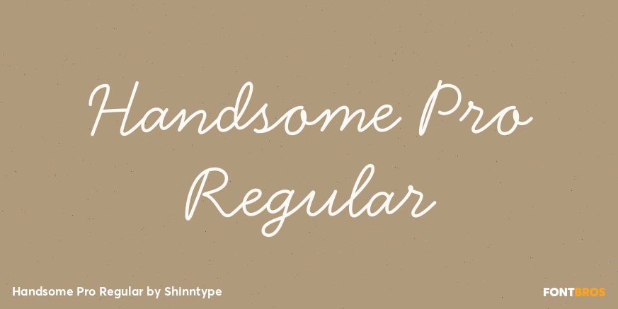 Handsome Pro Regular Poster