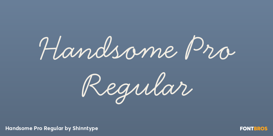 Handsome Pro Regular Poster