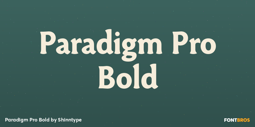 Paradigm Pro Bold Font Poster #1